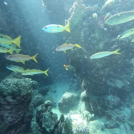 Desert & Sea Haven Marsa Alam