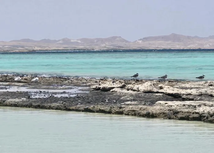 Marsiamo Affittacamere Marsa Alam