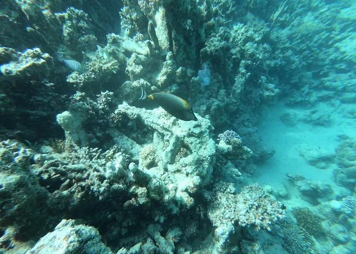 Affittacamere Marsiamo Marsa Alam