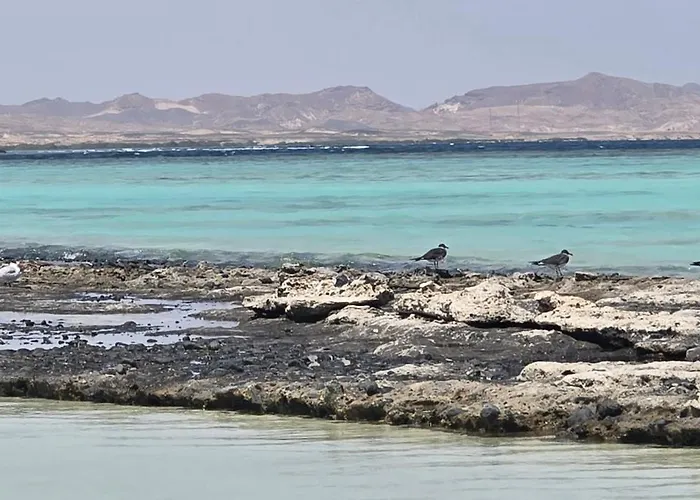 Marsiamo Marsa Alam