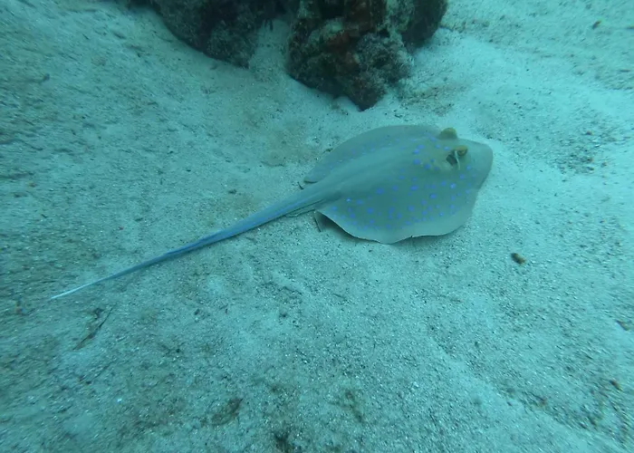 Marsiamo Marsa Alam
