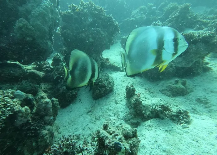 Affittacamere Marsiamo Marsa Alam