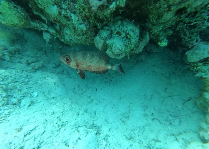 Affittacamere Marsiamo Marsa Alam