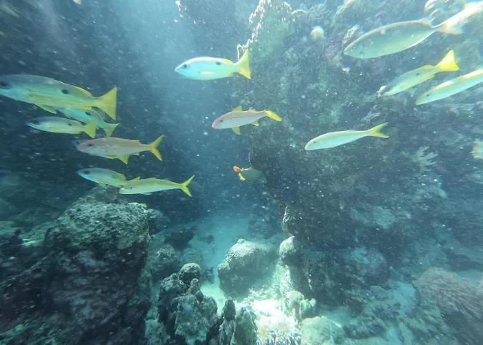 Affittacamere Marsiamo Marsa Alam