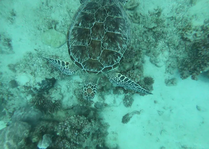 Marsiamo Affittacamere Marsa Alam